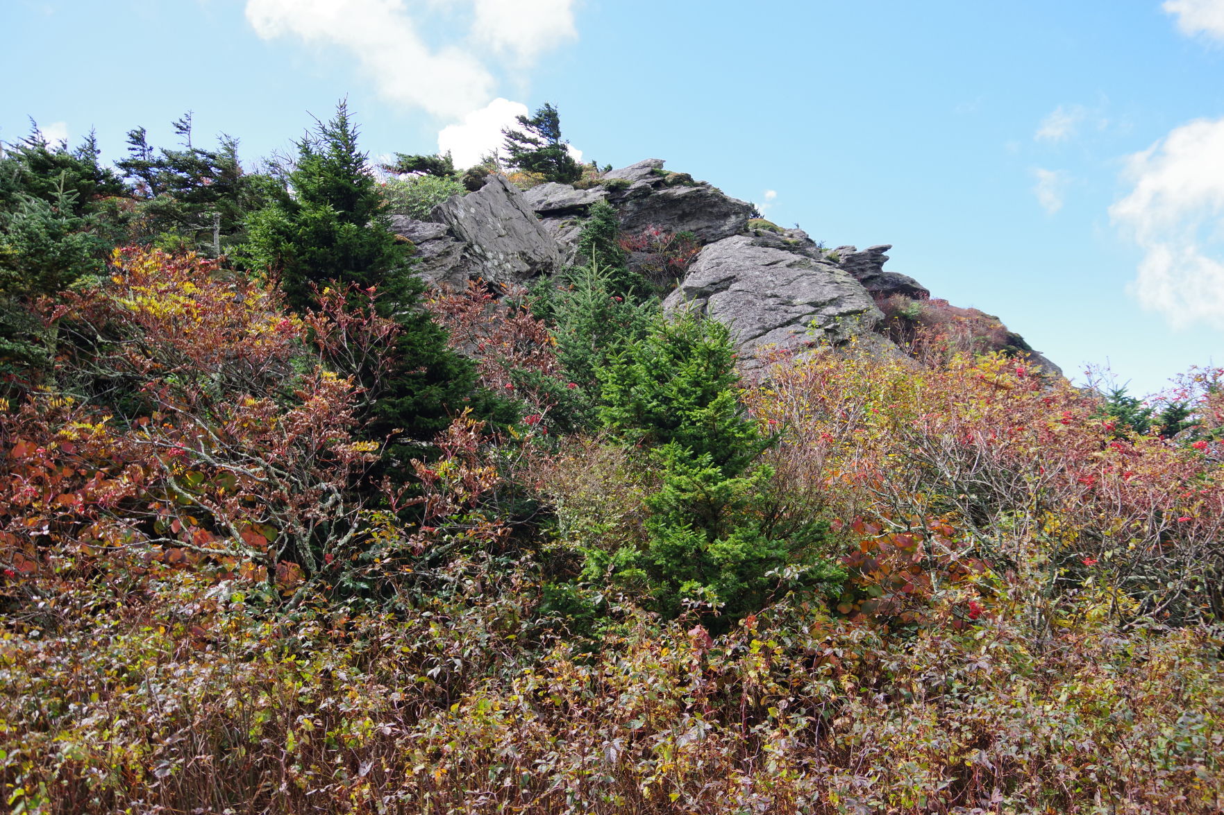 Fall Colors 4